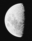 Half Moon