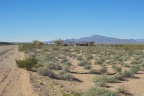 Ehrenberg, AZ Camping