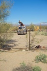 Ehrenberg, AZ Camping